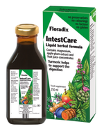 Floradix IntestCare 250ml