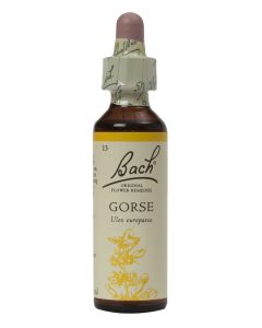 Bach Flower Remedy Gorse 20ml