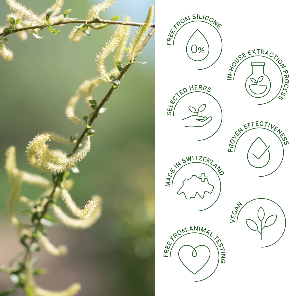 Rausch Willow Bark Treatment Shampoo for Problematic Scalp and Hair 200ml