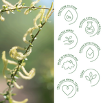 Rausch Willow Bark Treatment Shampoo for Problematic Scalp and Hair 200ml