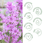 Rausch Volume Spray Conditioner with Mallow 100ml