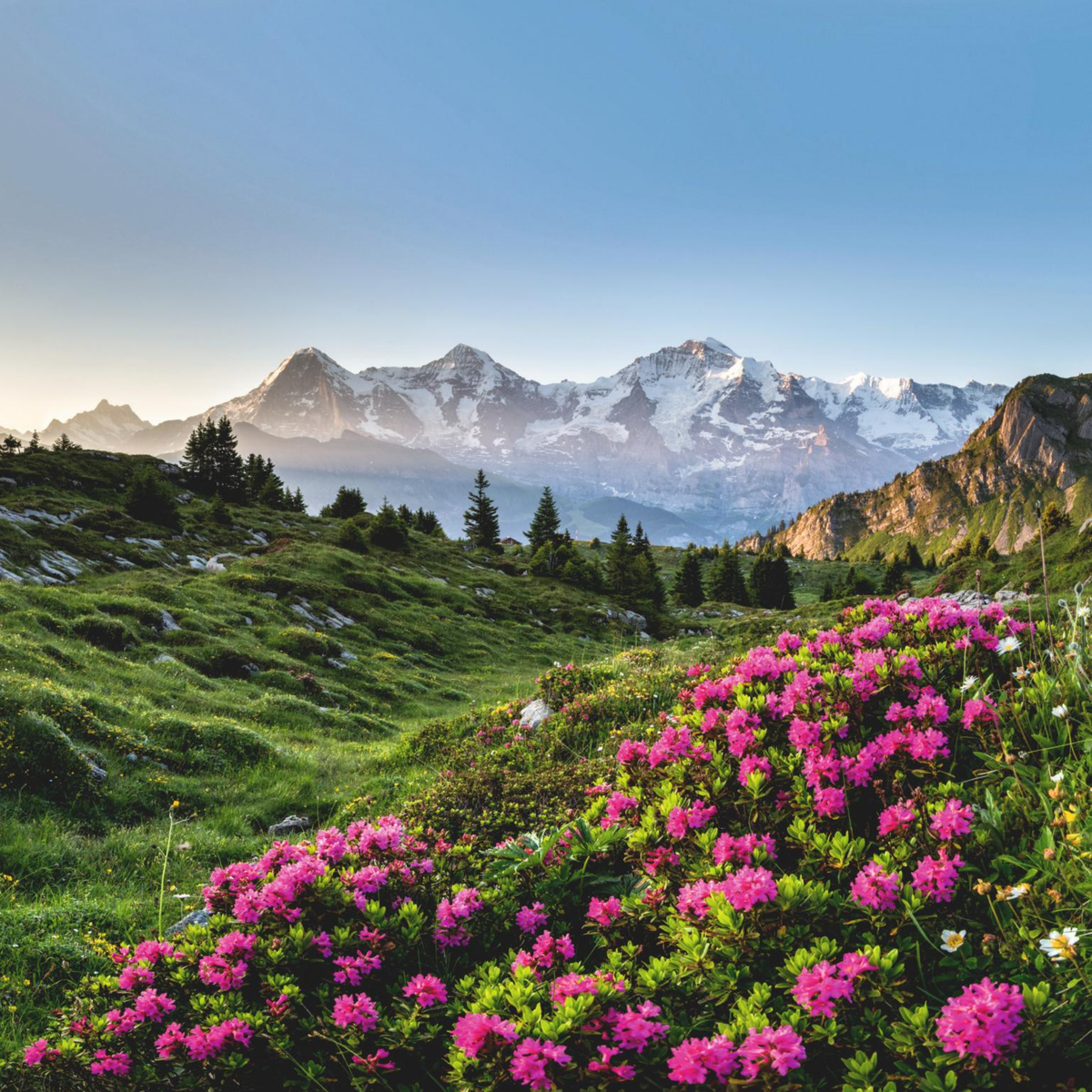 Rausch Volume Spray Conditioner with Mallow 100ml