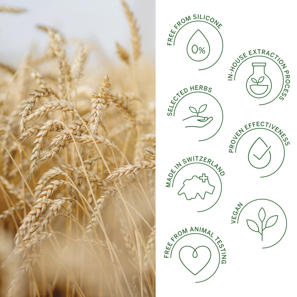 Rausch Wheatgerm Moisturizing Spray Conditioner For Dry Hair 100ml