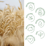 Rausch Wheatgerm Moisturizing Spray Conditioner For Dry Hair 100ml