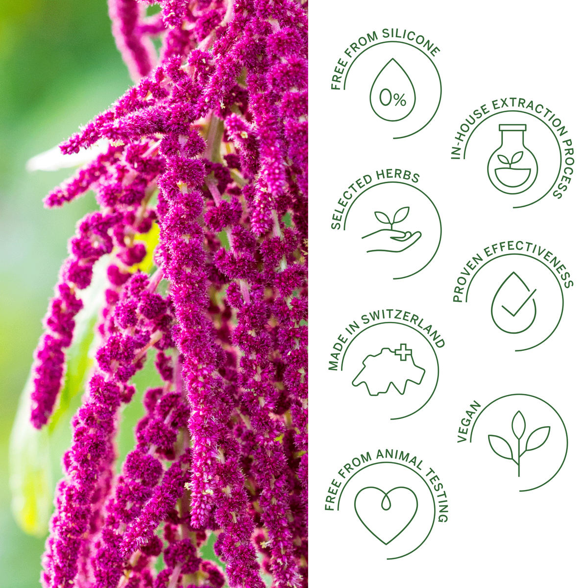 Rausch Repair Conditioner with Amaranth 150ml