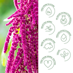 Rausch Repair Conditioner with Amaranth 150ml