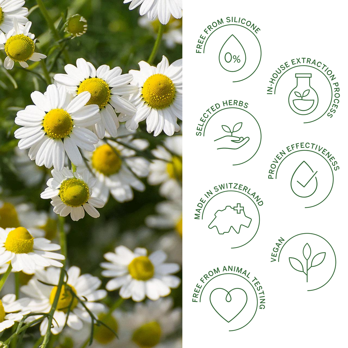 Rausch Swiss Herbal Vitality 30 x 2 Capsules