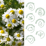 Rausch Swiss Herbal Vitality 30 x 2 Capsules