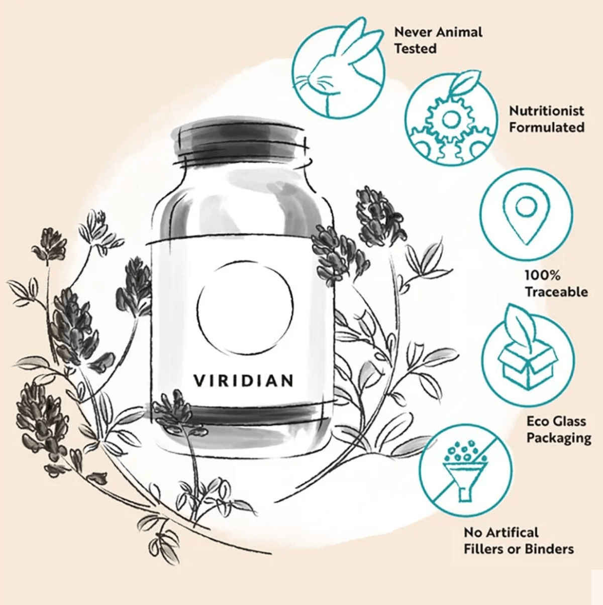 Viridian Curcumin Complex High Potency, 7 Capsules FREE gift GWP - Essentials London / Pharmacy & Clinic