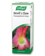 A. Vogel Devil’s Claw 50ml Tincture