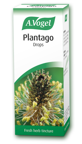 A. Vogel Plantago lanceolata 50ml