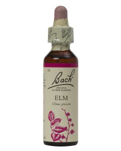 Bach Flower Remedy Elm 20ml