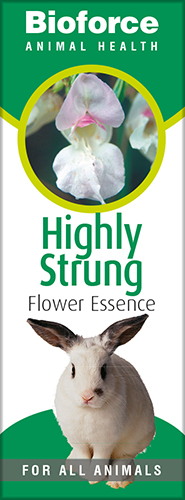 A.Vogel Highly Strung Essence 30ml