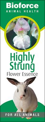 A.Vogel Highly Strung Essence 30ml