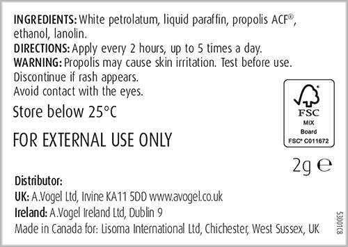 A. Vogel Bio-Propolis Lip Care Ointment 2g