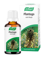 A. Vogel Plantago Lanceolata Oral Drops 50ml