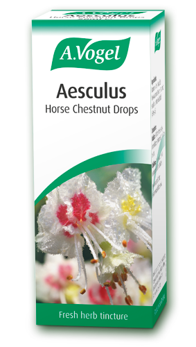 A. Vogel Aesculus Tincture 50ml