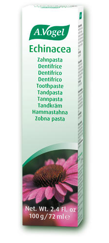 A. Vogel Echinacea Toothpaste 100g