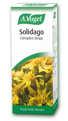 A. Vogel Solidago Complex 50ml