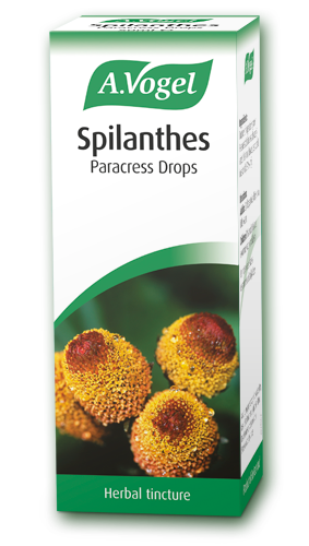 A. Vogel Spilanthes Tincture 50ml