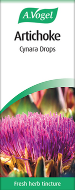 A. Vogel Artichoke Cynara Drops 50ml