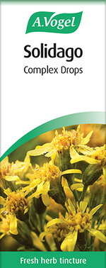A. ogel Solidago Complex 50ml