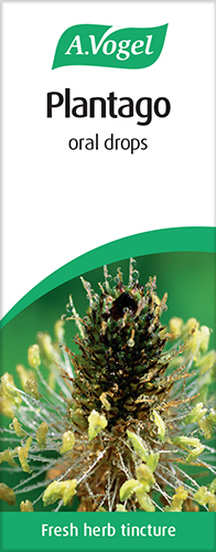 A. Vogel Plantago Lanceolata Oral Drops 50ml