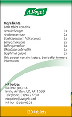A.Vogel Pollinosan Hayfever 120 Tablets