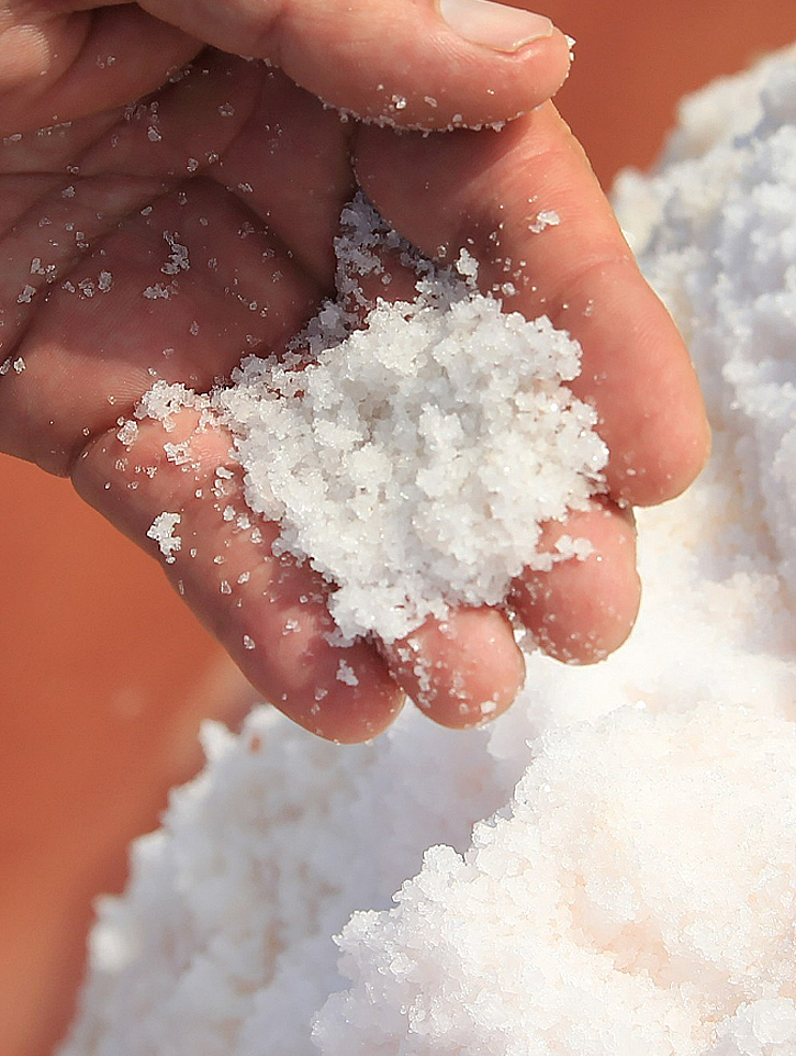 A.Vogel Herbamare Herb Sea Salt