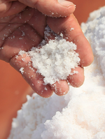 A. Vogel Herbamare Spicy Sea Salt 125g