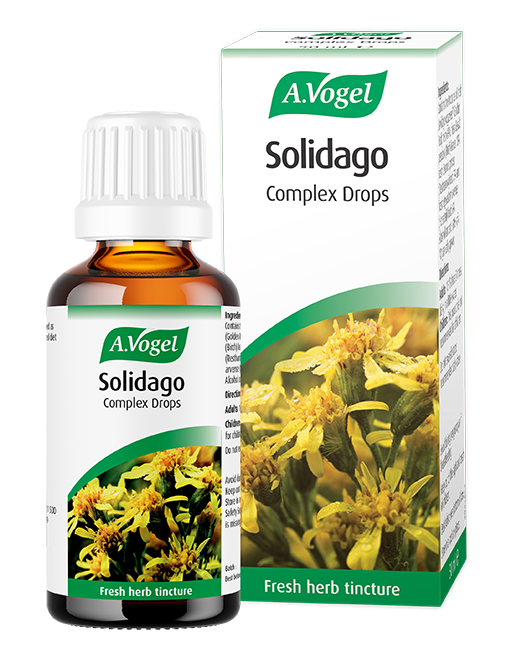 A. ogel Solidago Complex 50ml
