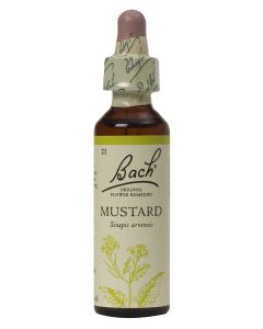 Bach Flower Remedy Mustard 20ml