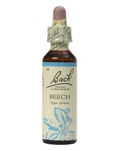 Bach Flower Remedy Beech 20ml