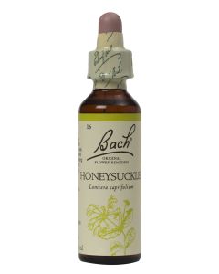 Bach Flower Remedy Honeysuckle 20ml