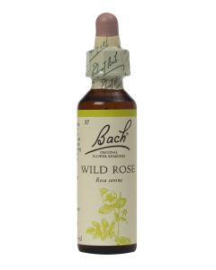 Bach Flower Remedy Wild Rose 20ml