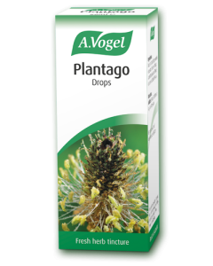 A. Vogel Plantago 50ml