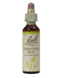 Bach Flower Remedy Chestnut Bud 20ml