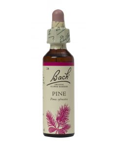Bach Flower Remedy Pine 20ml