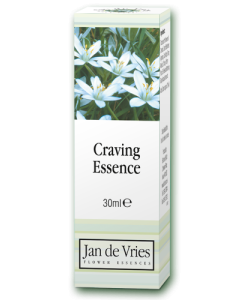 Jan de Vries Craving Essence 30ml