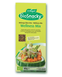 A. Vogel BioSnacky® Wellness Mix 40g